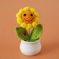 Crochet Potted Plants – Perfect Graduation & Home Décor Gift