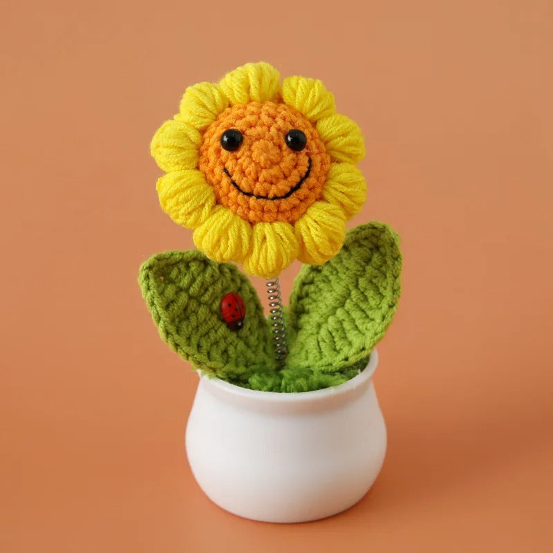 Crochet Potted Plants – Perfect Graduation & Home Décor Gift