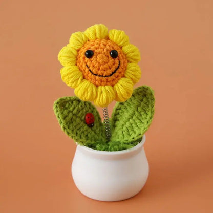 Crochet Potted Plants – Perfect Graduation & Home Décor Gift My Store