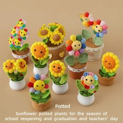 Crochet Potted Plants – Perfect Graduation & Home Décor Gift