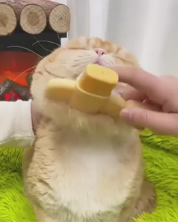 Dog & Cat Hair Remover Brush