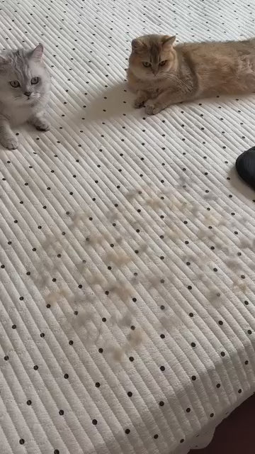 Cat Hair Remover Gloves | Washable Mesh Grooming Mitt for Home & Pets