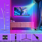 RGB LED Corner Floor Lamp